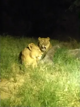 天王寺動物園に投稿された画像（2024/8/17）