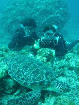 初心者専門店NEOMARINE石垣島に投稿された画像（2024/8/17）