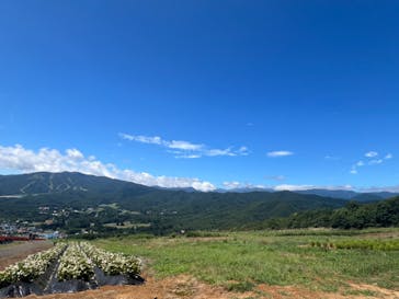 ひるがのピクニックガーデンに投稿された画像（2024/8/17）