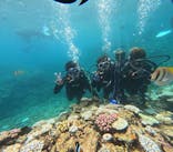 青の洞窟専門店 ブルーオーシャンに投稿された画像（2024/8/17）