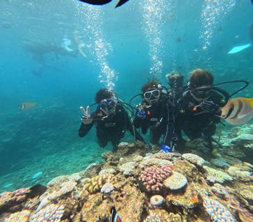 青の洞窟専門店 ブルーオーシャンに投稿された画像（2024/8/17）