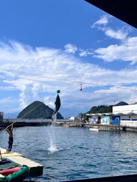 伊豆・三津シーパラダイスに投稿された画像（2024/8/17）