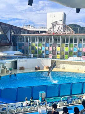 伊豆・三津シーパラダイスに投稿された画像（2024/8/17）