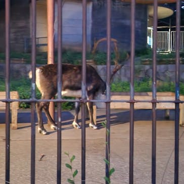 多摩動物公園に投稿された画像（2024/8/17）