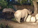 天王寺動物園に投稿された画像（2024/8/17）