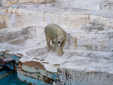 天王寺動物園に投稿された画像（2024/8/17）