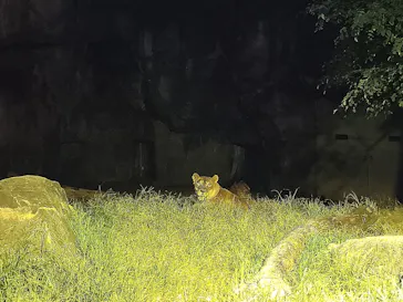 天王寺動物園に投稿された画像（2024/8/17）
