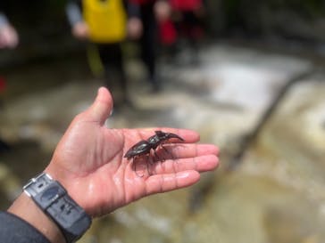 ジャグスポーツに投稿された画像（2024/8/17）