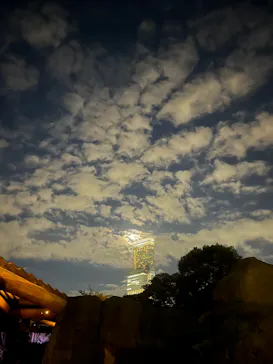 天王寺動物園に投稿された画像（2024/8/17）