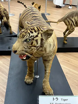 天王寺動物園に投稿された画像（2024/8/17）