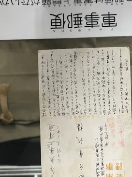 天王寺動物園に投稿された画像（2024/8/17）