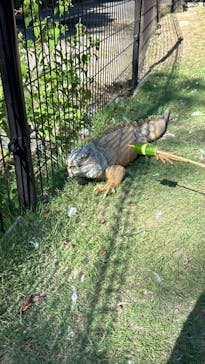 長崎バイオパークに投稿された画像（2024/8/17）