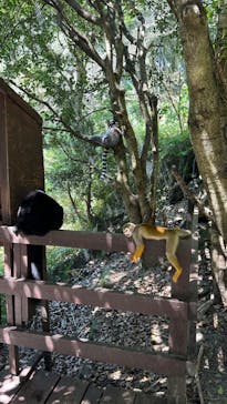 長崎バイオパークに投稿された画像（2024/8/17）