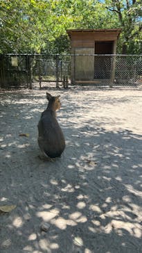 長崎バイオパークに投稿された画像（2024/8/17）