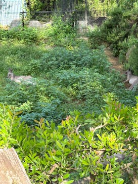 千葉市動物公園に投稿された画像（2024/8/17）