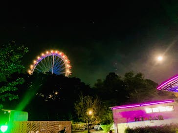 到津の森公園に投稿された画像（2024/8/17）