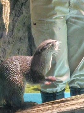 竹島水族館に投稿された画像（2024/8/17）