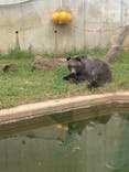 日立市かみね動物園に投稿された画像（2024/8/17）