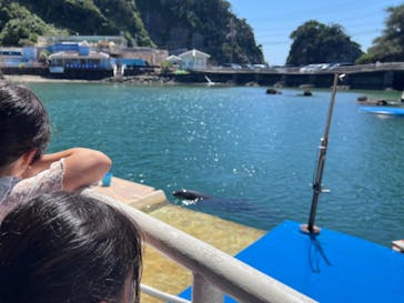 下田海中水族館に投稿された画像（2024/8/17）