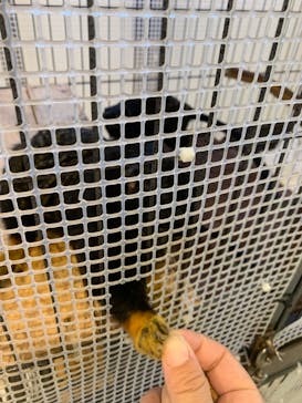 アニタッチみなとみらいに投稿された画像（2024/8/17）