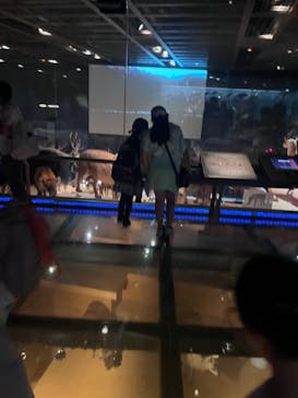 国立科学博物館に投稿された画像（2024/8/17）