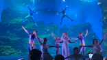 仙台うみの杜水族館に投稿された画像（2024/8/18）