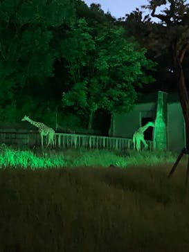 名古屋市東山動植物園に投稿された画像（2024/8/17）