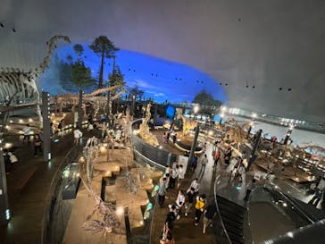 福井県立恐竜博物館に投稿された画像（2024/8/17）