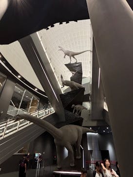 福井県立恐竜博物館に投稿された画像（2024/8/17）