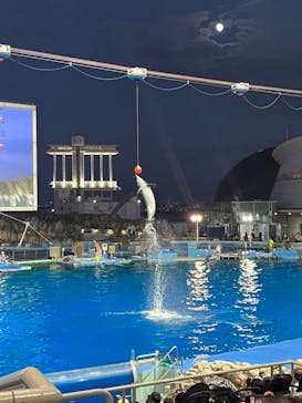 名古屋港水族館に投稿された画像（2024/8/17）
