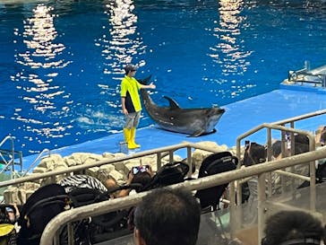 名古屋港水族館に投稿された画像（2024/8/17）