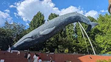 国立科学博物館に投稿された画像（2024/8/17）