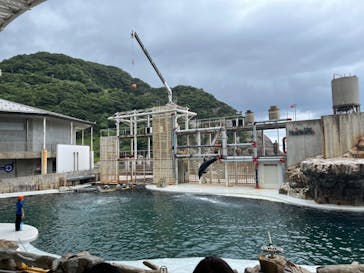 城崎マリンワールドに投稿された画像（2024/8/17）