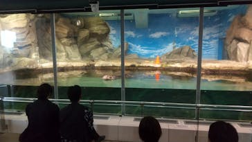 マリンワールド海の中道に投稿された画像（2024/8/17）