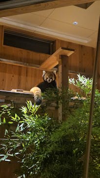 名古屋市東山動植物園に投稿された画像（2024/8/17）