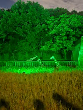 名古屋市東山動植物園に投稿された画像（2024/8/17）