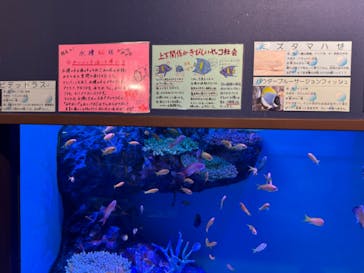 竹島水族館に投稿された画像（2024/8/17）