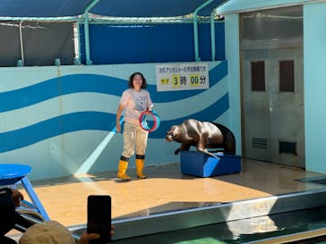 竹島水族館に投稿された画像（2024/8/17）