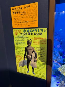 竹島水族館に投稿された画像（2024/8/17）