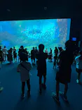 仙台うみの杜水族館に投稿された画像（2024/8/18）