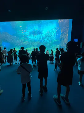 仙台うみの杜水族館に投稿された画像（2024/8/17）