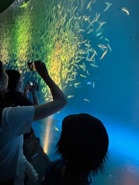 名古屋港水族館に投稿された画像（2024/8/17）