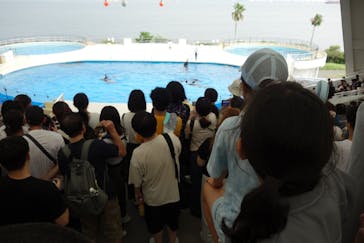 マリンワールド海の中道に投稿された画像（2024/8/17）