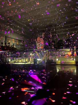 野外民族博物館 リトルワールドに投稿された画像（2024/8/17）