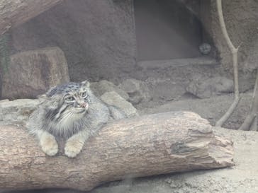 神戸どうぶつ王国に投稿された画像（2024/8/17）