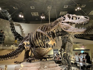 国立科学博物館に投稿された画像（2024/8/17）