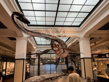 国立科学博物館に投稿された画像（2024/8/17）