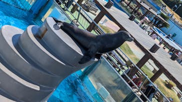 南知多ビーチランド＆南知多おもちゃ王国に投稿された画像（2024/8/18）