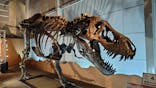 巨大恐竜展2024に投稿された画像（2024/8/18）