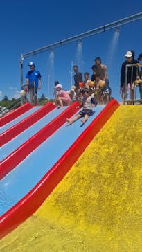 しらこばと水上公園（埼玉県公園緑地協会）に投稿された画像（2024/8/18）